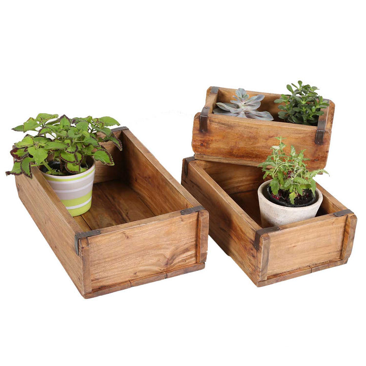 Gino plant box, set of 3