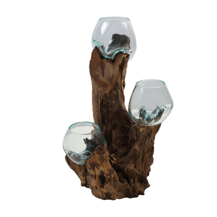 Three glass vases, 12 cm, on burl wood