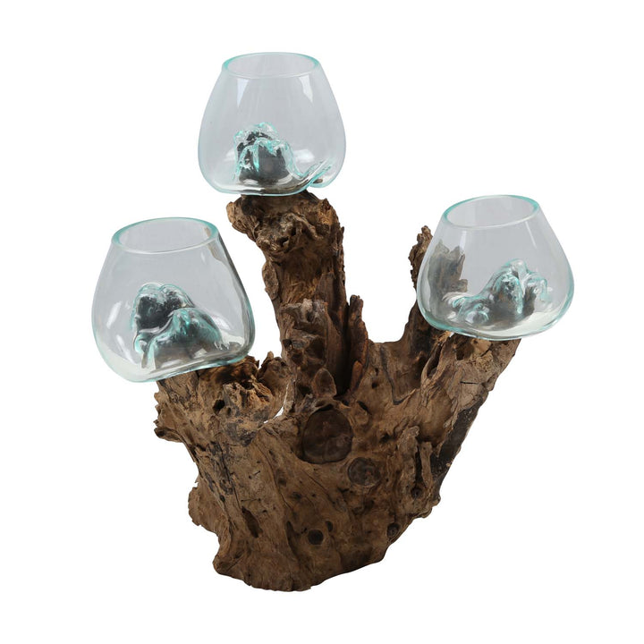 Three glass vases, 12 cm, on burl wood