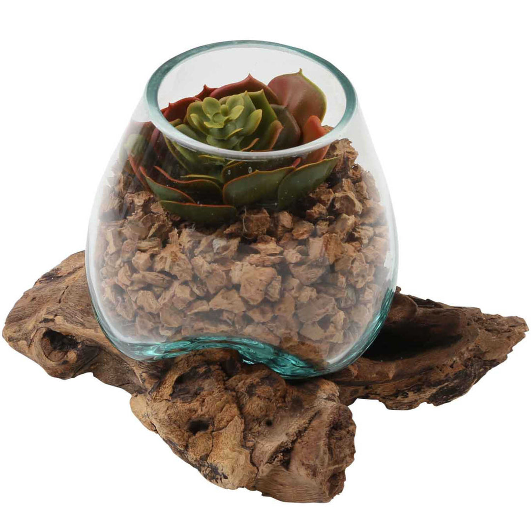 Glass vase on burl wood A12