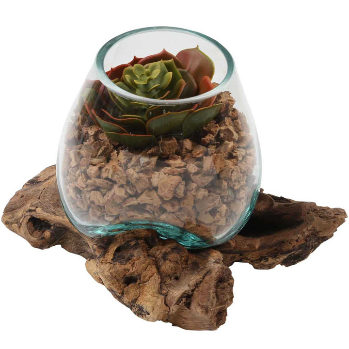 Glass vase on burl wood A12