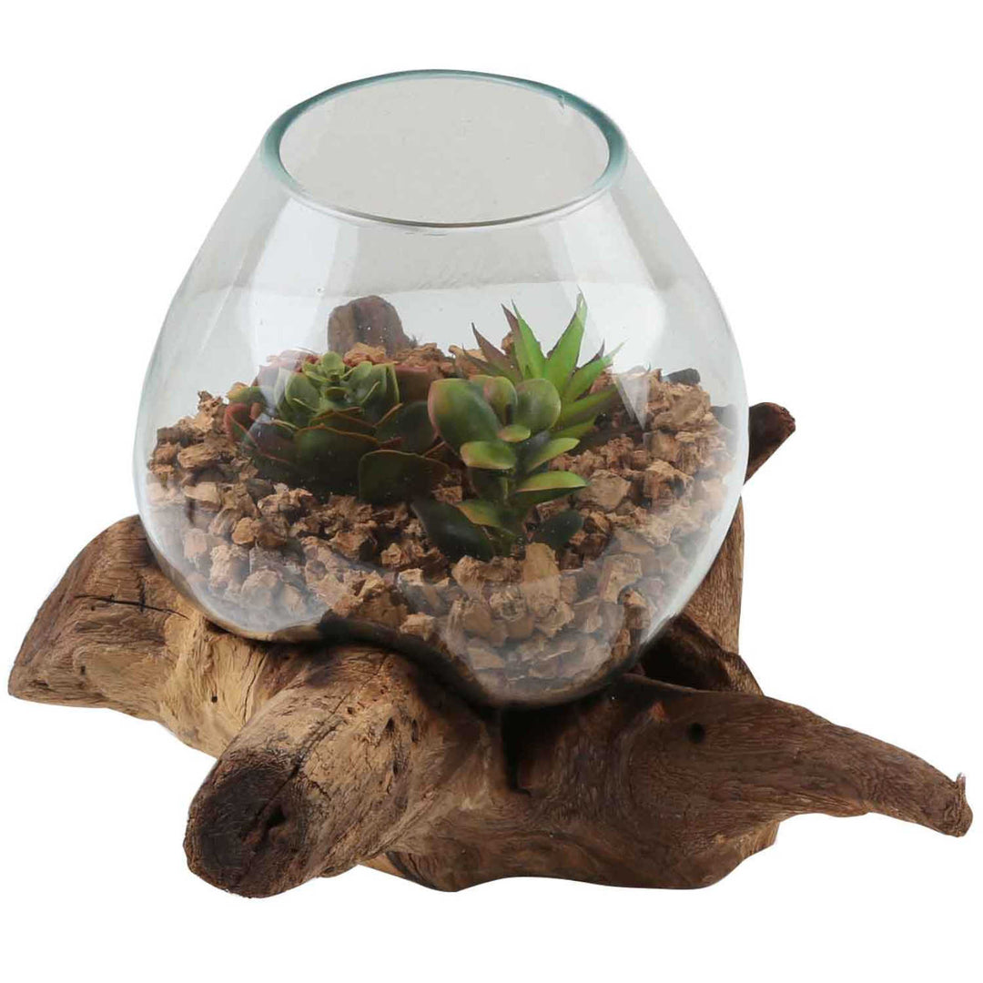 Glass vase on root wood A20