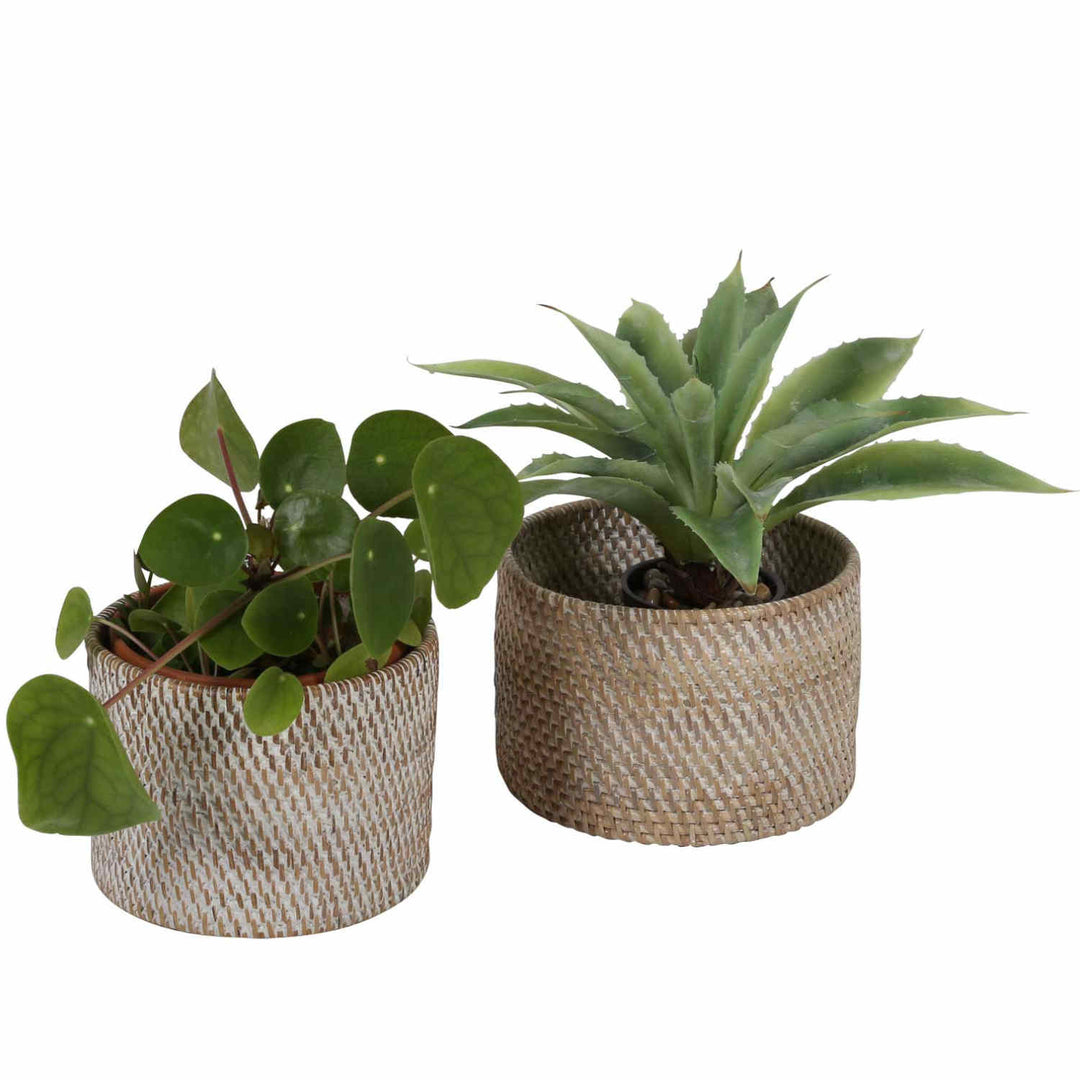 Cutlery basket Lilia White washed