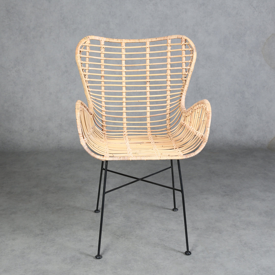Monia rattan armchair
