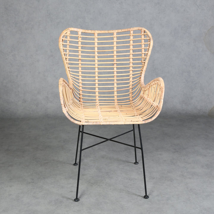 Monia rattan armchair