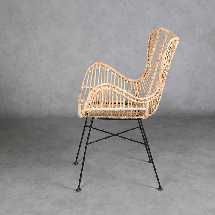 Monia rattan armchair