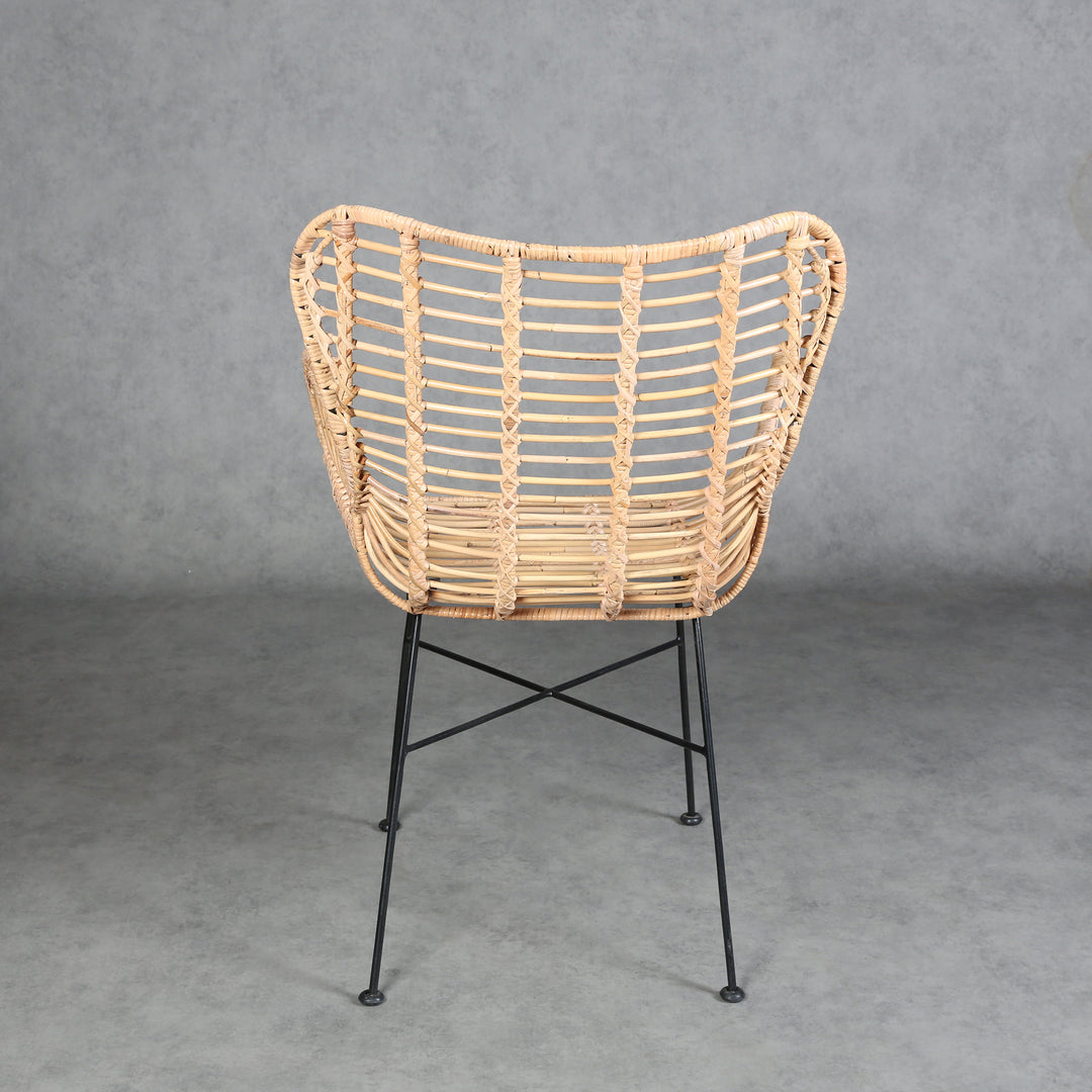 Monia rattan armchair