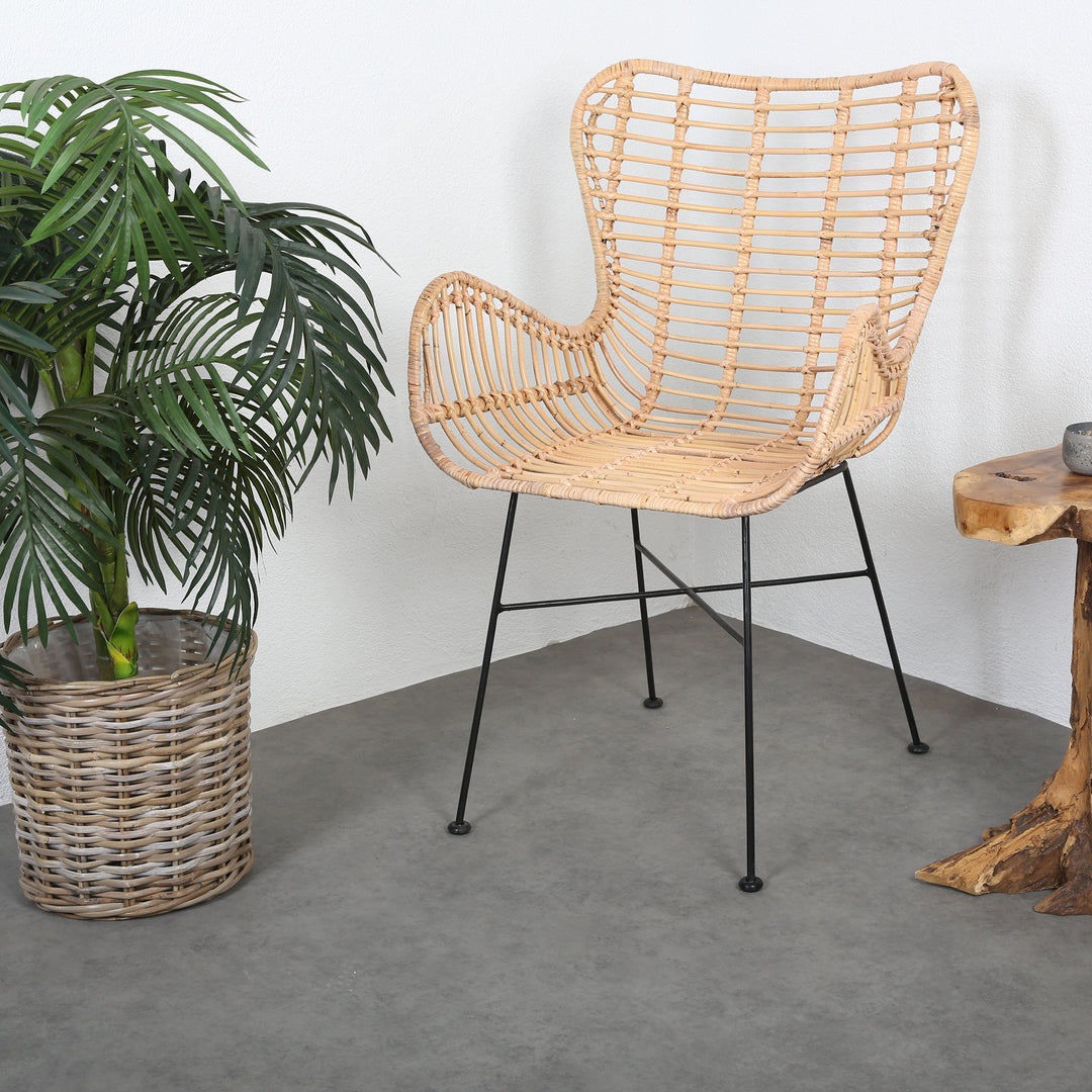 Monia rattan armchair