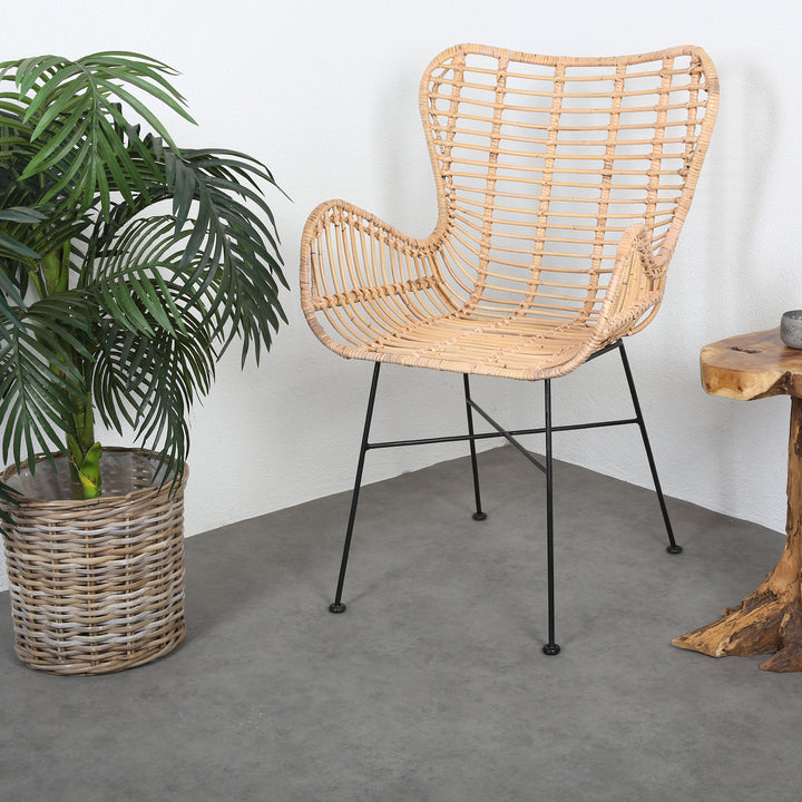 Monia rattan armchair