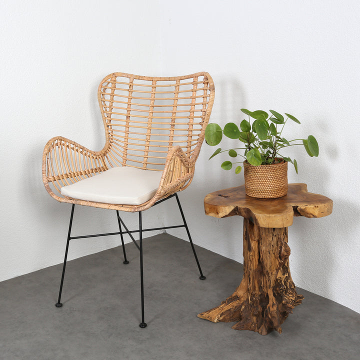Monia rattan armchair