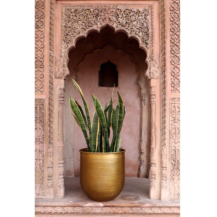 Oriental flower pot Barcelona