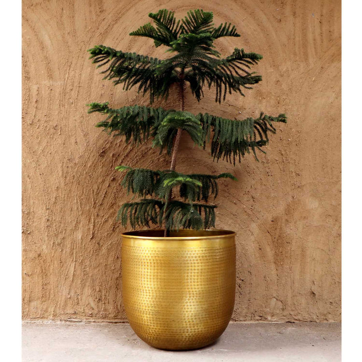 Oriental flower pot Barcelona