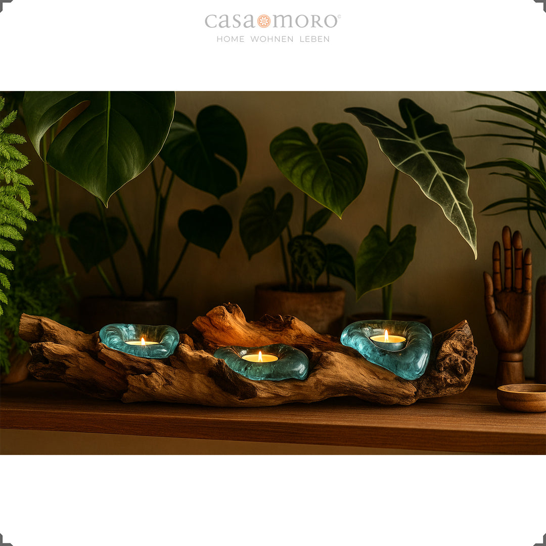 Elongated tea light holder made of glass and root wood in front of lush green plants, its soft light emphasizes the calm, natural atmosphere.